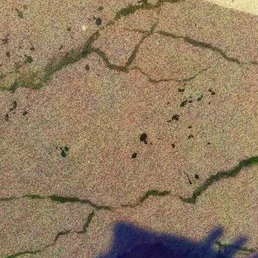 잭