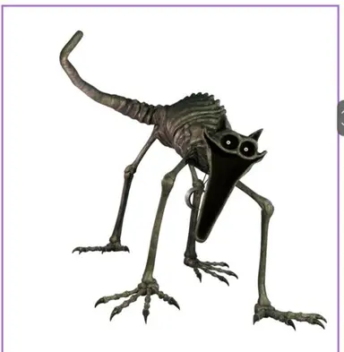Profile image of 캣냅