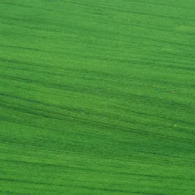 Profile image of 정공룡