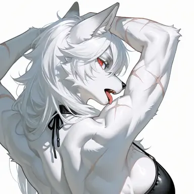 Profile image of 루포