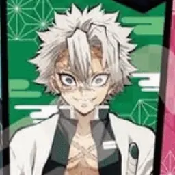 Profile image of Sanemi shinezugawa
