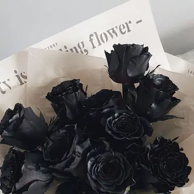 Profile image of 우융