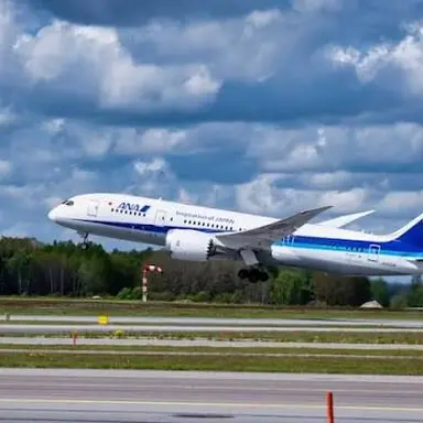 Profile image of B787-8