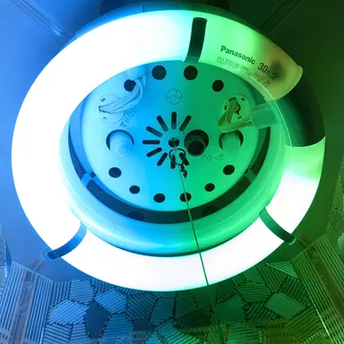 Profile image of パリピナ電球
