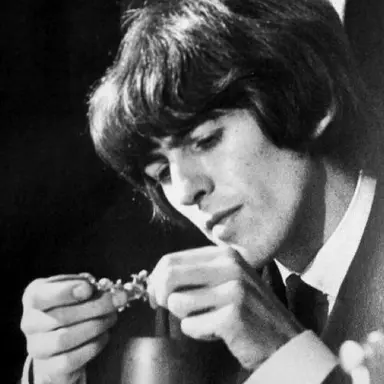 Profile image of George Harrison