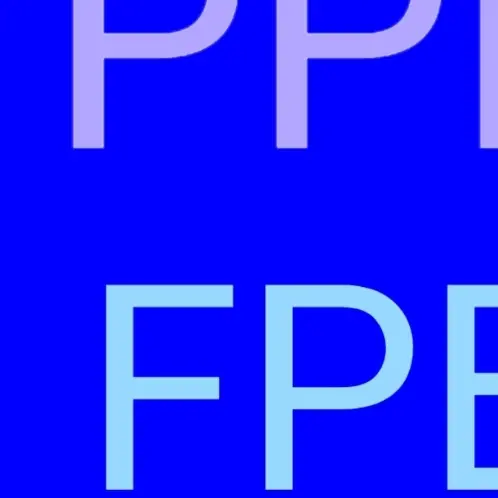 BrashTwine1616의 PPF&FPE