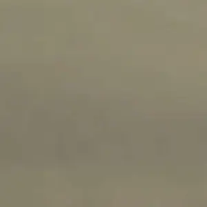 Profile image of 젠인 마키