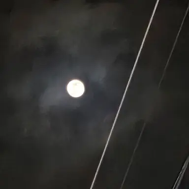 Profile image of 쉐도우밀크