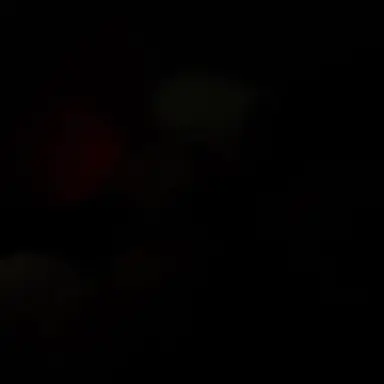 Profile image of 1