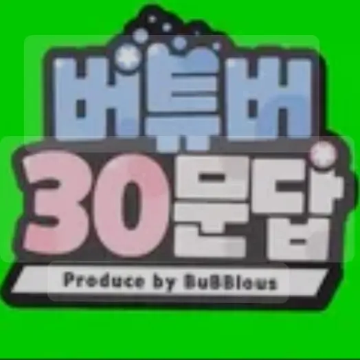 koti1004의 버튜버 30문답