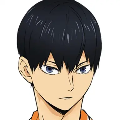 Profile image of 影山 飛雄