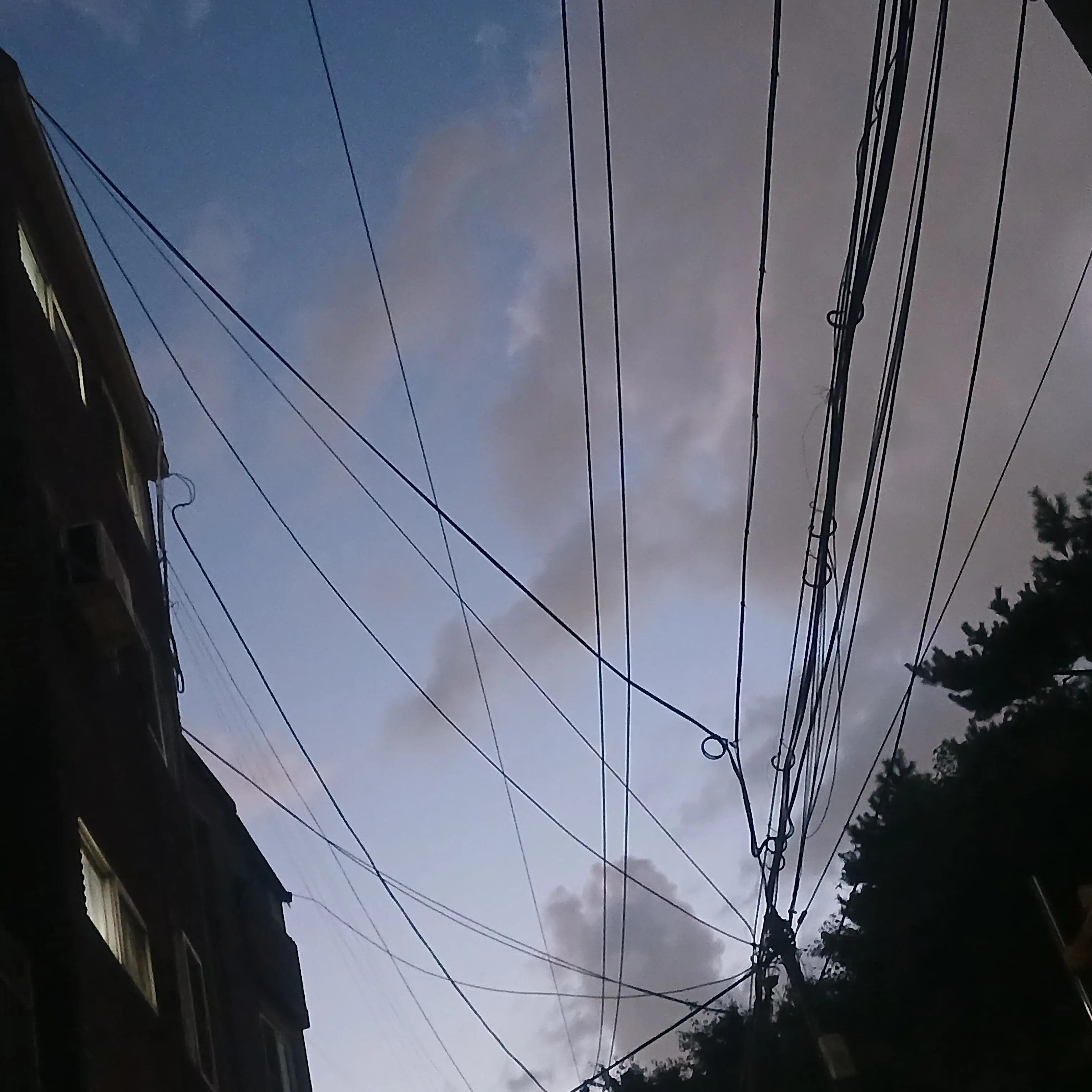 StumpyCoach1180의 체리왕자 🐰🍒