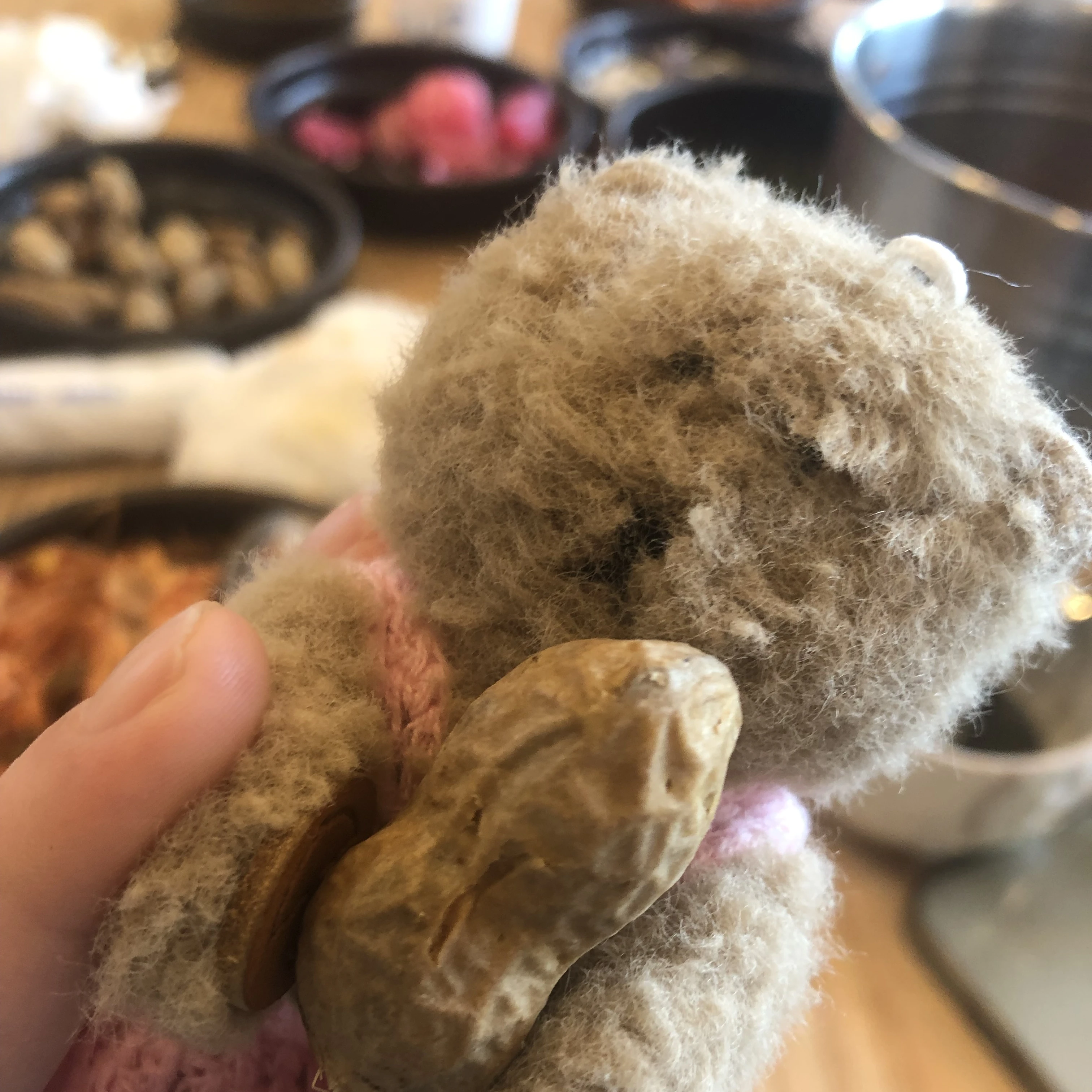 곰도리💞