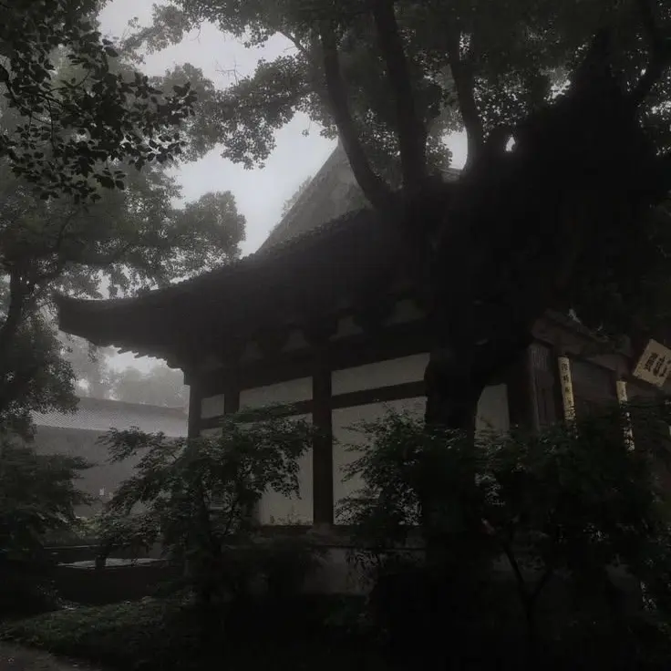 xmxxx의 無玄
