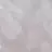 김동현