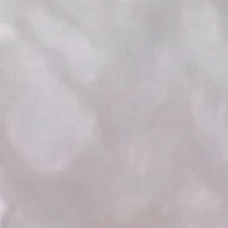 김동현