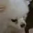덕개