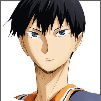 Profile image of 影山飛雄