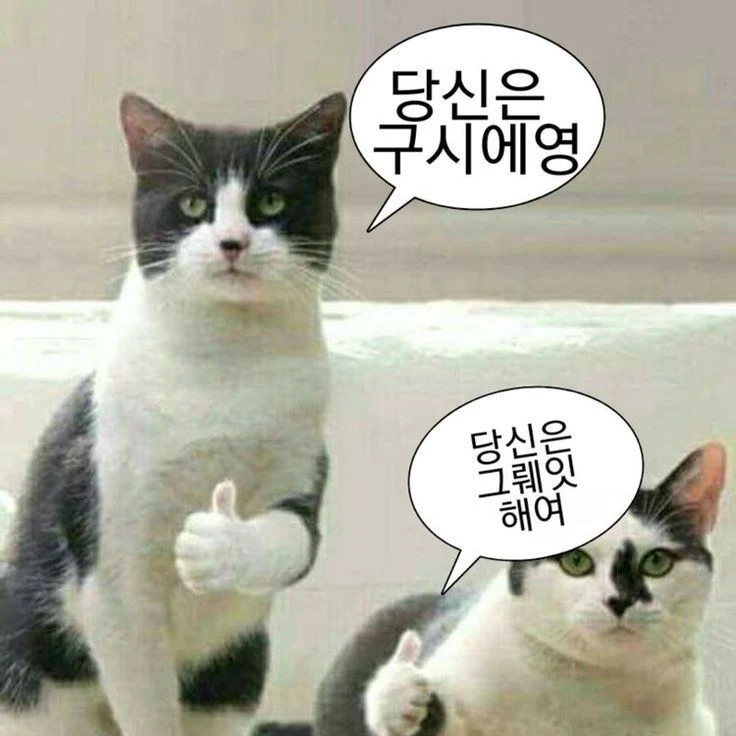 집사