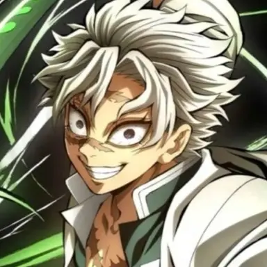 Profile image of 시나즈가와 사네미