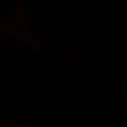 Profile image of M