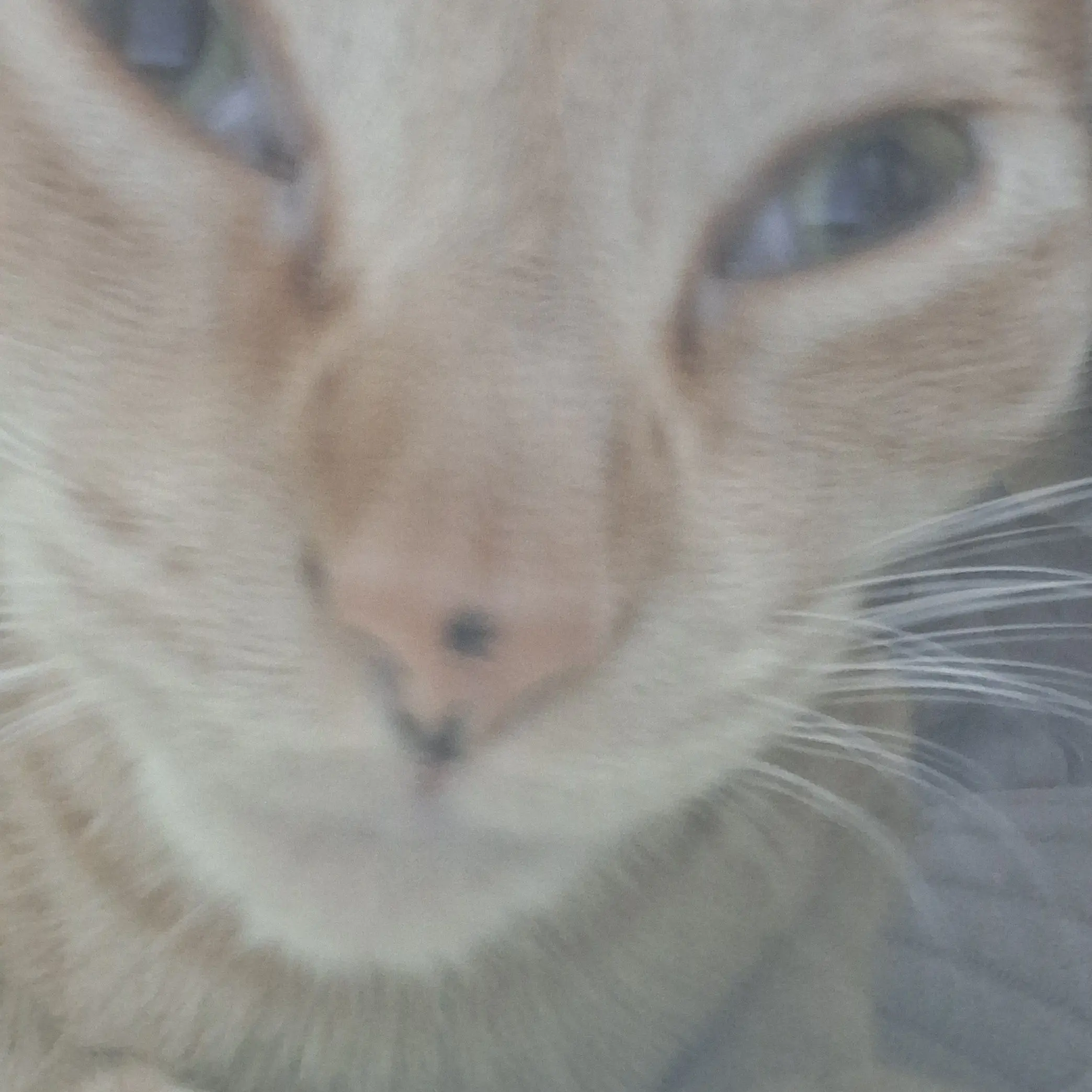 DensePatch7251의 평학과썸타다?