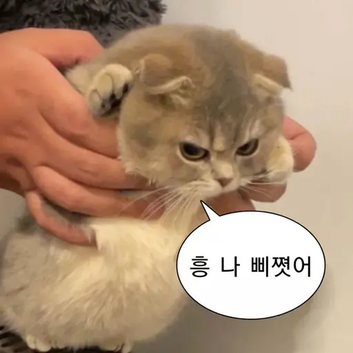 DenseBongo4098의 해피