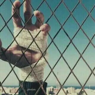 Profile image of 추무량