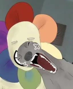 Profile image of 댄디