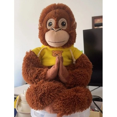 오랑이