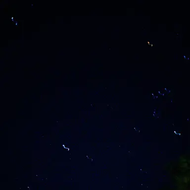 Profile image of 권세헌