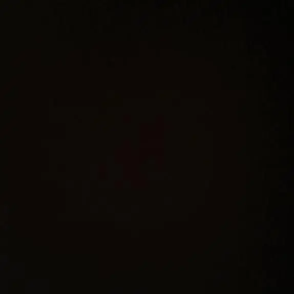 PluckyIbis8321의 B.N.D 조직