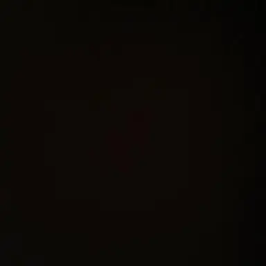 Profile image of 명 재 현