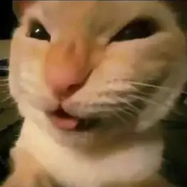 Profile image of 핒자