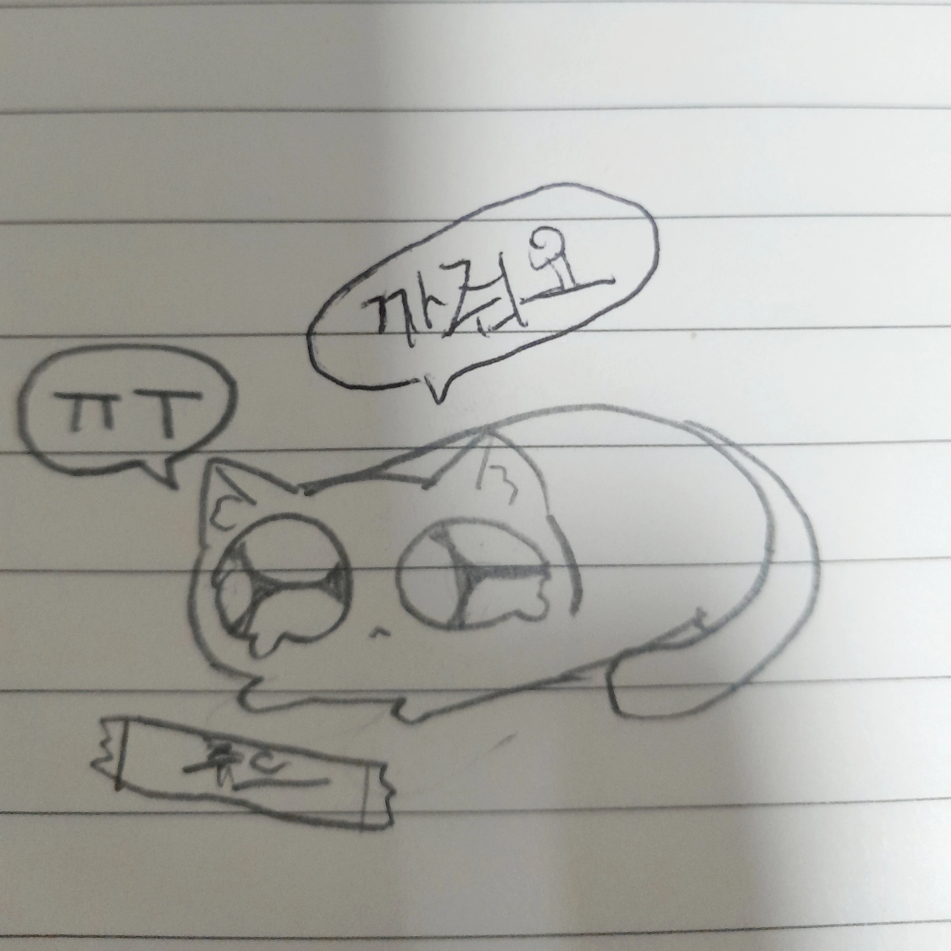 쉐냥이