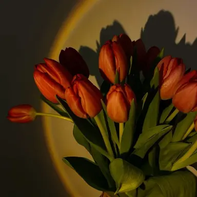 Profile image of 박덕개