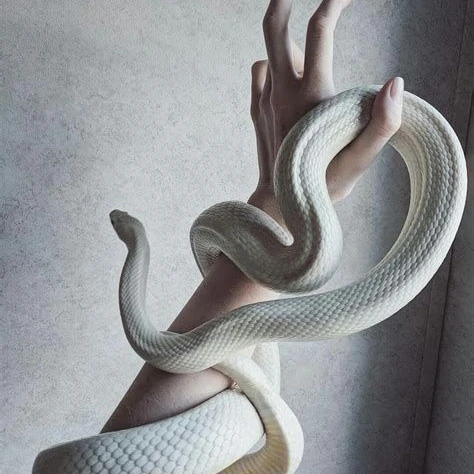설리