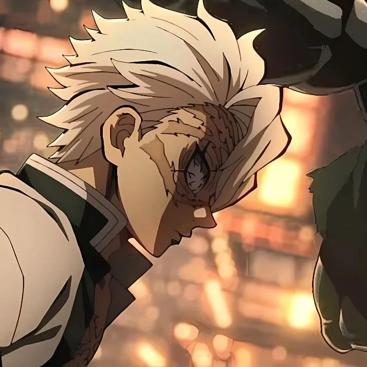 시나즈가와 사네미