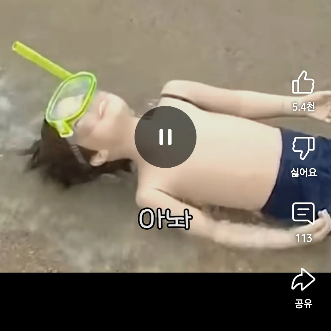 HuskySuit5747의 푸콘 가족