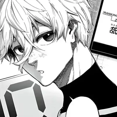 PrimRake0156의 Nagi Seishiro