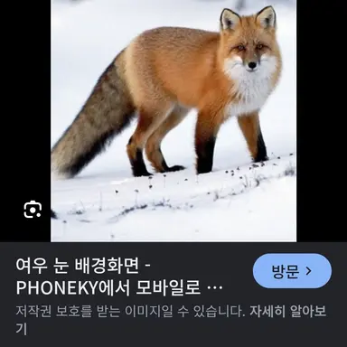 Profile image of 여우