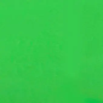 Profile image of 공룡