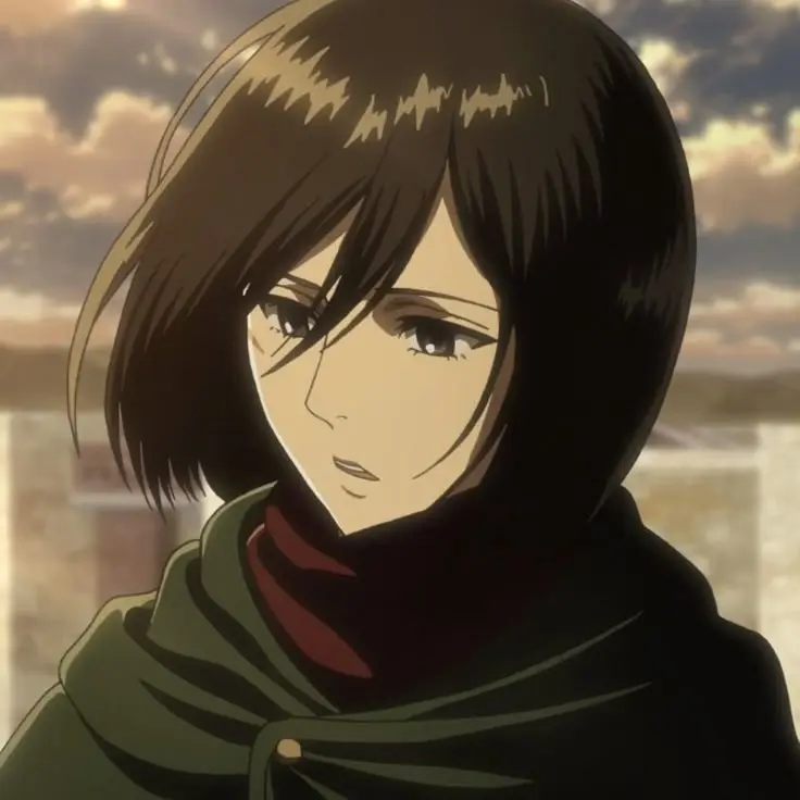 AoT69의 미카사 아커만