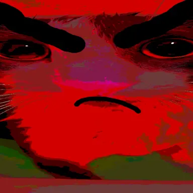 Profile image of 앵그리캣