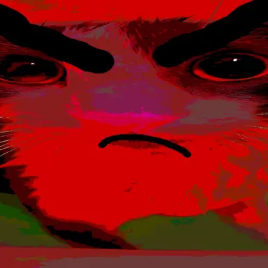 Profile image of 앵그리고양이