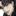 조현승
