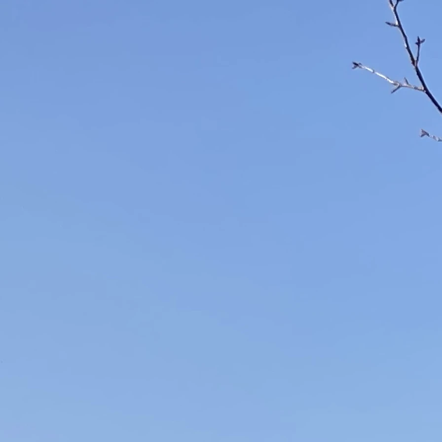 林田良平