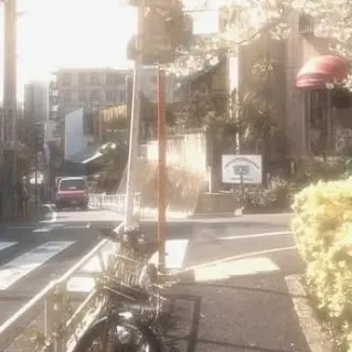 Profile image of 若井
