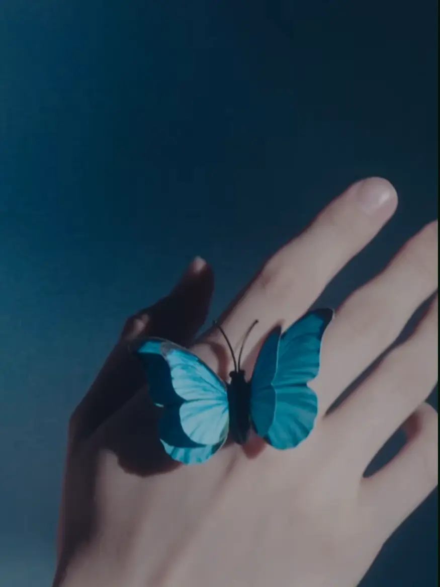 nuemmga의 ̗̀ものくろ