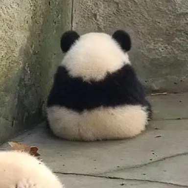 Profile image of ユ・ファンジュン